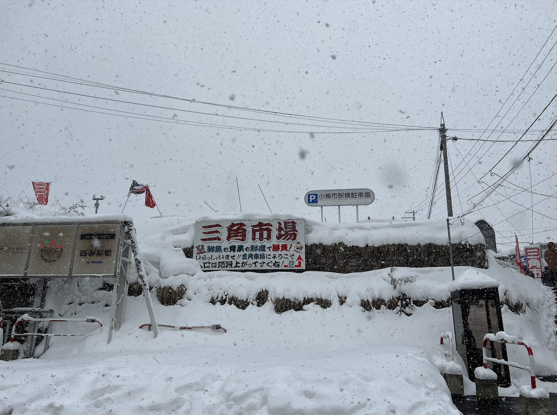 北海道丨小樽丨三角市場丨水煮毛蟹丨惠比壽櫻