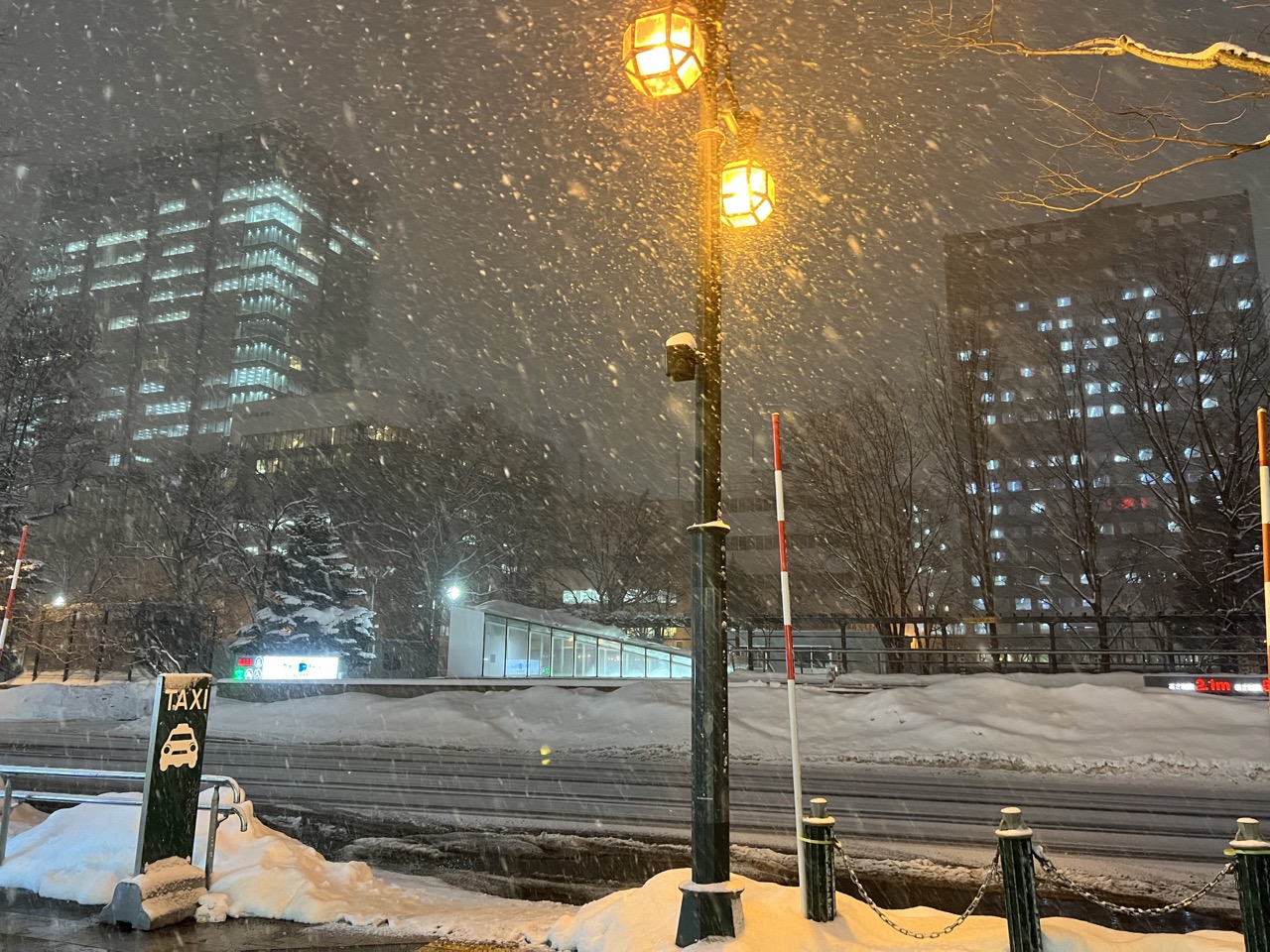 2023 年北海道冬季之旅丨六天五夜丨Day 3 札幌市區逛街購物丨十勝豚丼いっぴん丨豬肉蓋飯丨三光舍丨黑毛和牛壽喜燒