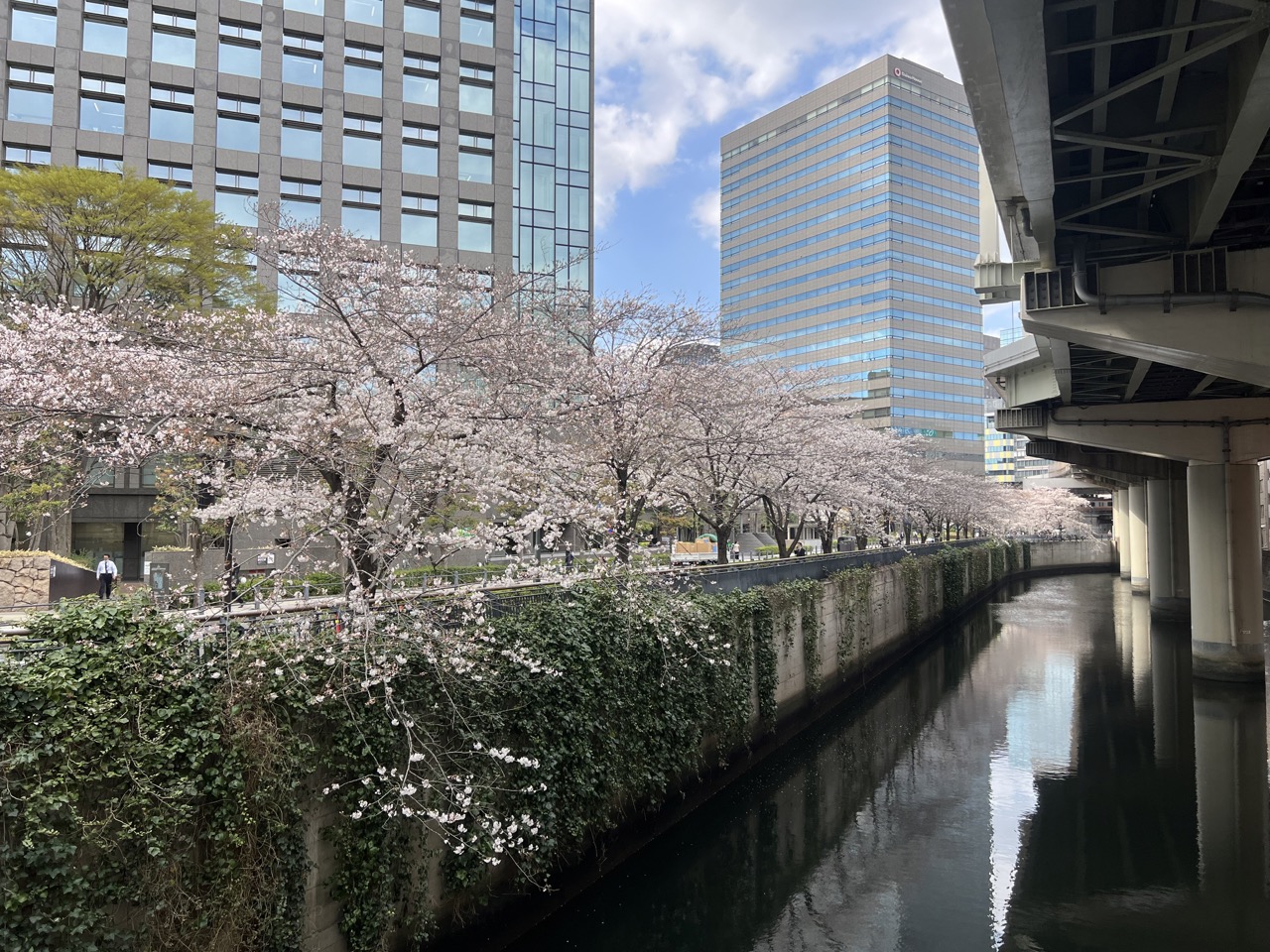 2023櫻花丨私房賞櫻景點丨日本橋川丨九段下站丨東京都千代田區