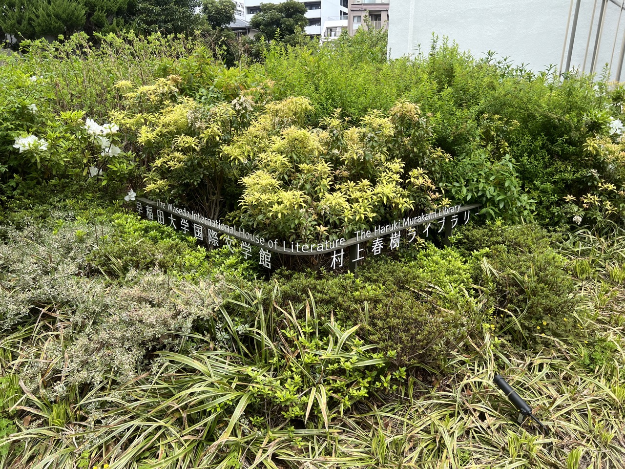 東京丨早稻田丨村上春樹圖書館丨早稻田大學國際文學館