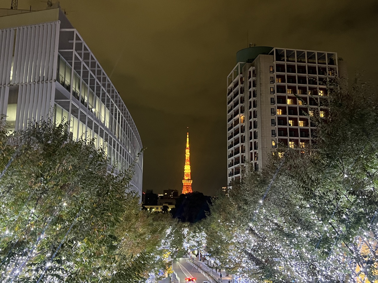 東京丨六本木丨六本木之丘櫸坂聖誕燈飾丨Roppongi Hills Christmas 2023